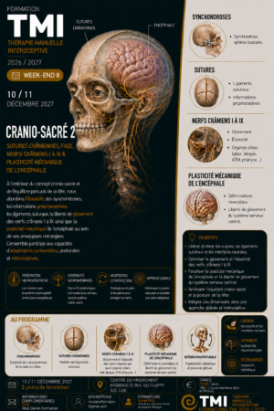 Cranio-sacré 2, les 10 et 11 décembre 2027→