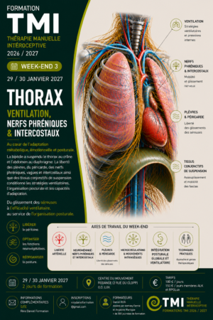 affiche 6 W.E. 3 thorax et ventilation 29  30 2027