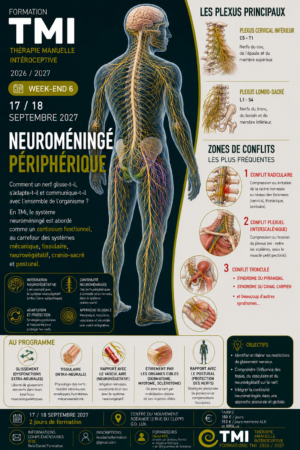 Neuroméningé périphérique, les 17 et 18 septembre 2027→